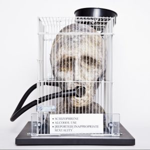 Front image of The Gaze sculpture: patient head is located inside a rat's cage with tube connecting it's mouth to a black funnel. The funnel is overflowing with brightly coloured psychiatric medications. The "patient" stares straight ahead, expressless, it's eyes are only dark indentations in the sculpture. The funnel in its mouth renders it speechless. There are 3 labels on the front of the cage: SCHIZOPRHENE; ALCOHOL USE; [REPORTED] INAPPROPRIATE SEXUALITY